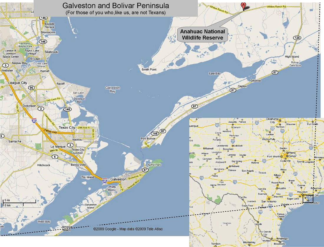 The impact of hurricane Ike on the Texas Gulf Coast.1